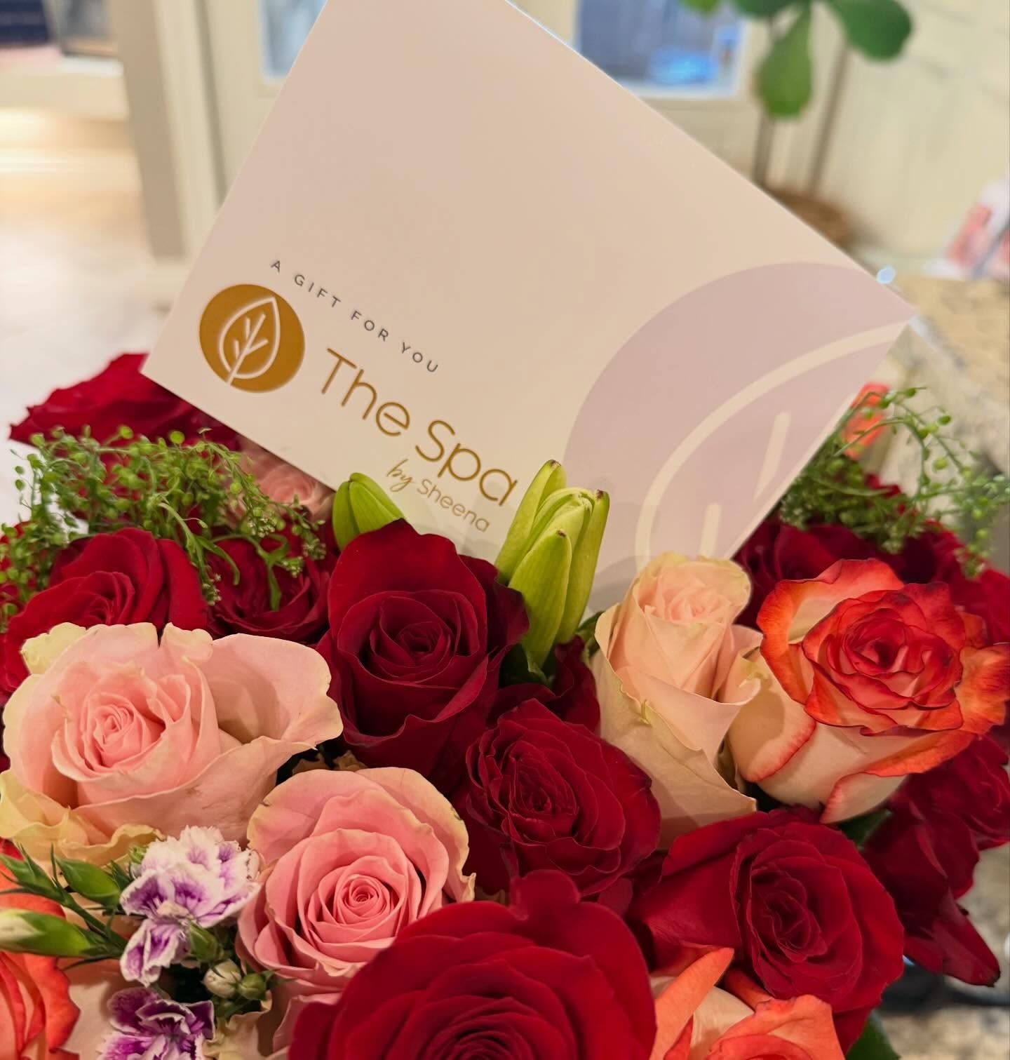 imgi_15_629222787_18362706904164770_753606206237205523_n